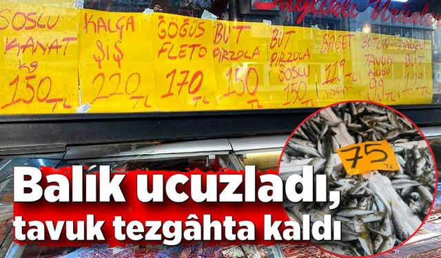 Balık ucuzladı, tavuk tezgâhta kaldı