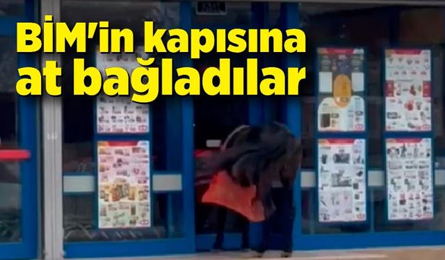 BİM'in kapısına at bağladılar