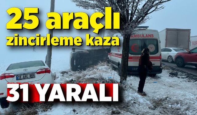 Yoğun sis ve buzlanma kaza getirdi