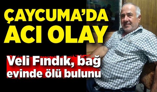 Çaycuma'da korkunç olay! Veli Fındık bağ evinde ölü bulundu