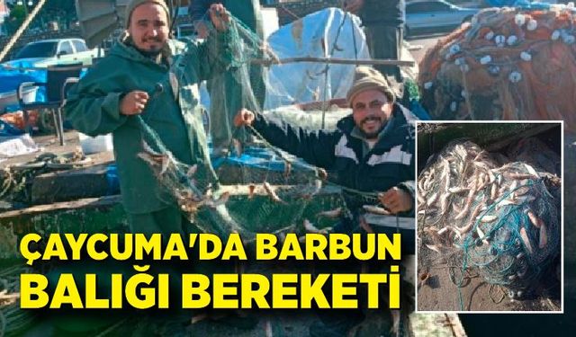 Çaycuma'da  barbun balığı bereketi