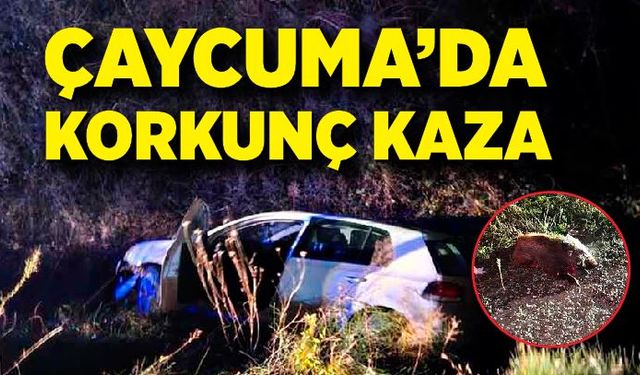 Çaycuma'da korkunç kaza! Domuza çarpan sürücü ölümden döndü