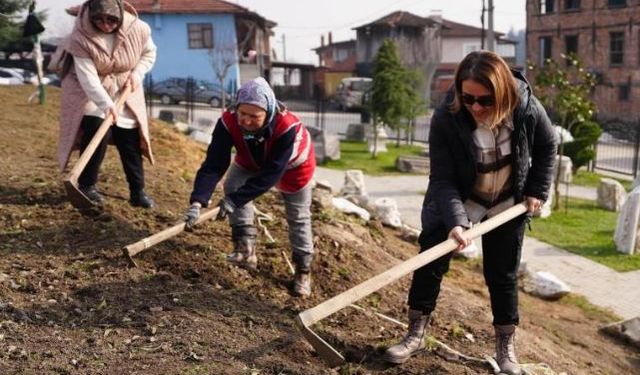 Park ve Bahçeler Müdürlüğü ekipleri bu sefer tarihi kentte kazı yaptı