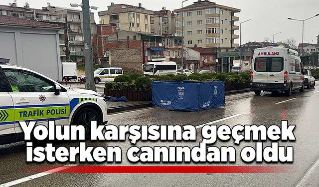 Yolun karşısına geçmek isterken canından oldu