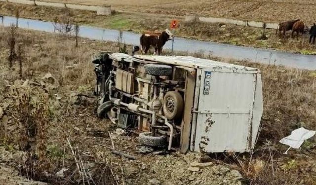 hayvan yüklü kamyonet otomobille çarpıştı: 2 yaralı