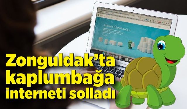 Zonguldak’ta kaplumbağa interneti solladı