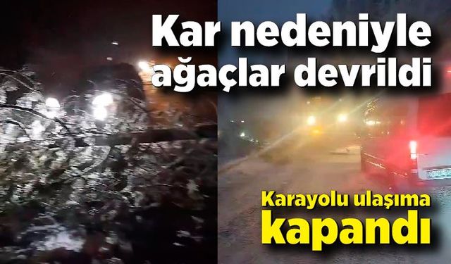 Kar nedeniyle ağaçlar devrildi, karayolunda ulaşım aksadı