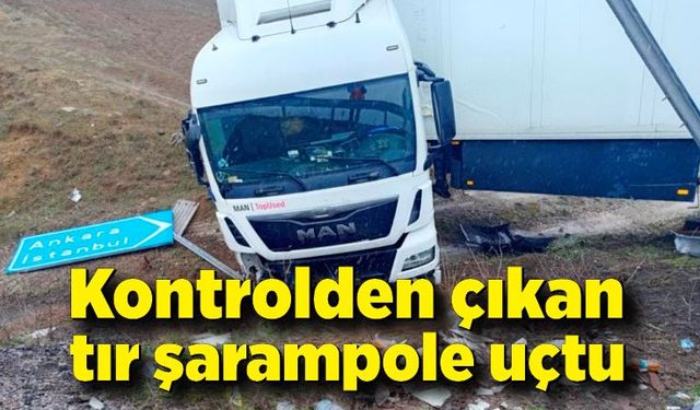 Kontrolden çıkan tır şarampole uçtu