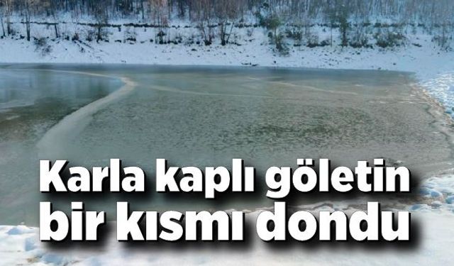 Karla kaplı göletin bir kısmı dondu