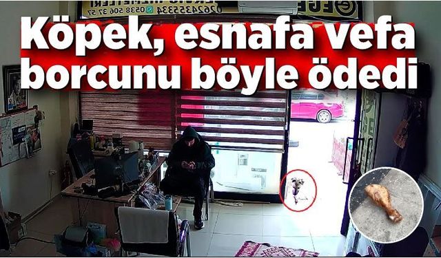 Köpek, esnafa vefa borcunu böyle ödedi