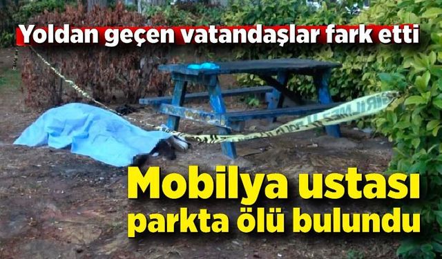 Mobilya ustası parkta ölü bulundu