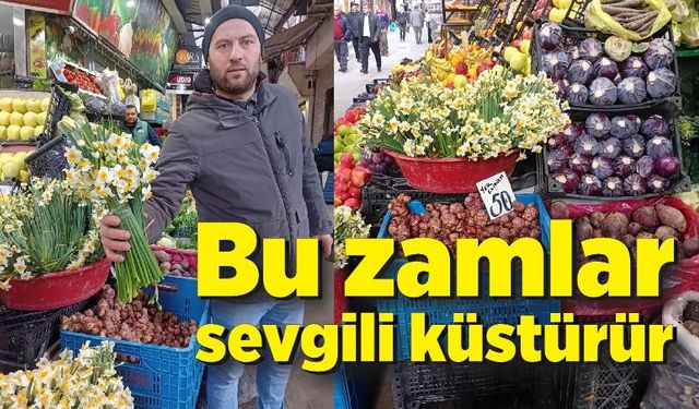 Bu zamlar sevgili küstürür; Nergis'in bir bağı 40 lira