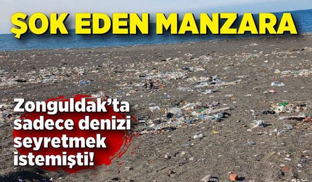 Zonguldak’ta sadece denizi seyretmek istemişti! Gördüğü manzara karşısında şok oldu!