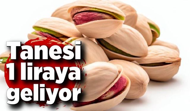 Tanesi 1 liraya geliyor