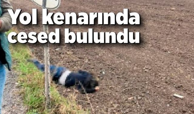 Yol kenarında cansız bedeni bulundu