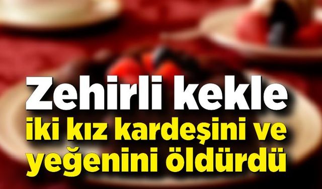 Zehirli kekle iki kız kardeşini ve yeğenini öldürdü