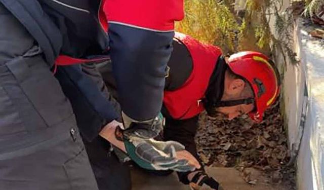 Ayağı tahtaların arasına sıkışan kedinin yardımına itfaiye koştu