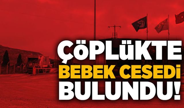 Çöplükte bebek cesedi bulundu!