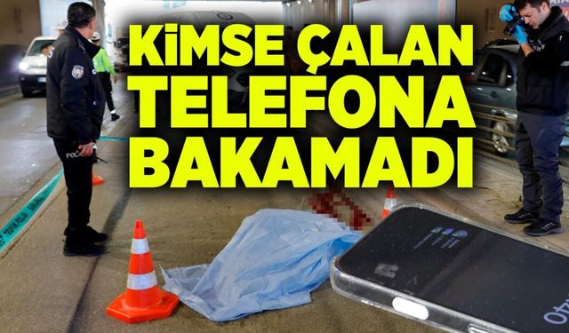 Kimse çalan telefona bakamadı!