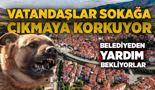Devrek’te vatandaşlar sokağa çıkmaya korkuyor: Belediyeden yardım bekliyorlar