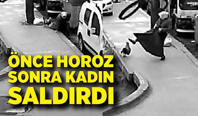 Horozun saldırdığı kadın defalarca yere düştü