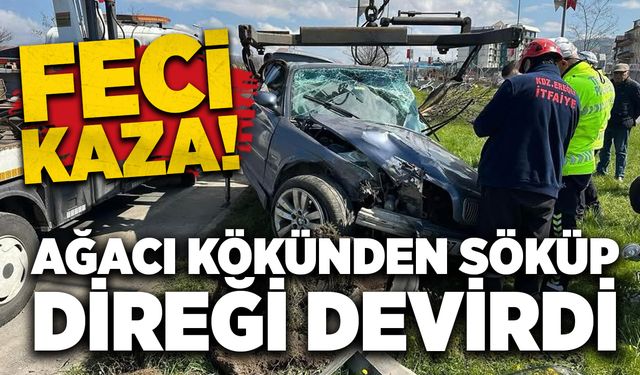 Ağacı kökünden söküp direği devirdi: Feci kaza!
