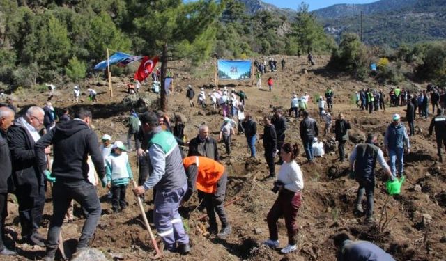 700 fidan toprakla buluştu