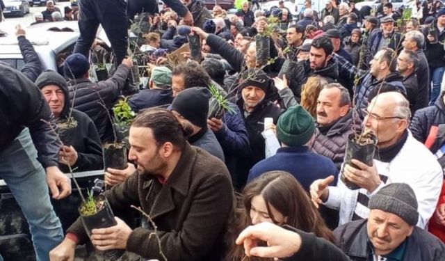 Devrek Orman İşletme Müdürlüğü fidan dağıtımında bullundu