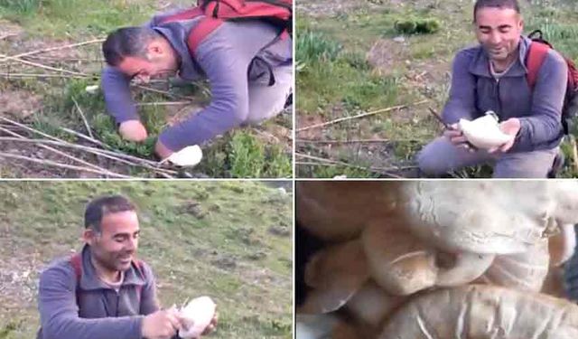 Kendine has aromasıyla sofraların vazgeçilmezi; Baharın gelmesiyle yeniden çıkmaya başladı