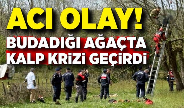 Budadığı ağaçta kalp krizi geçirip öldü