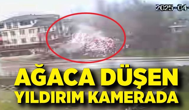 Ağaca düşen yıldırım kamerada