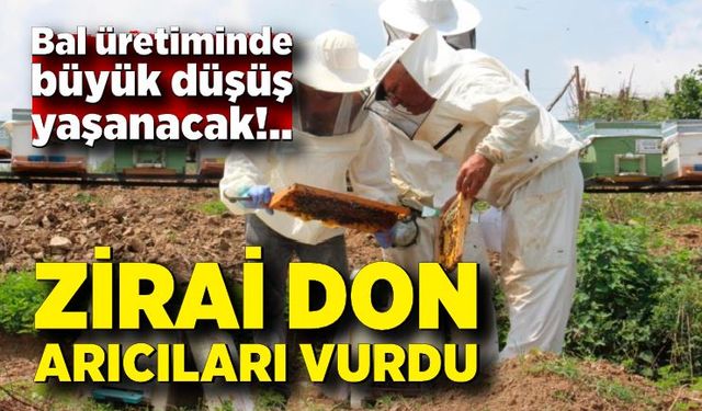 Zirai don ağzımızın tadını kaçıracak; bal üretimi düşecek