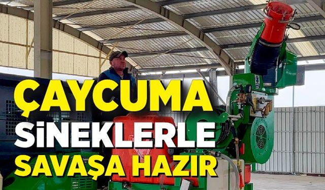 Çaycuma sinek sorununa karşı bu yaz çok daha hazırlıklı