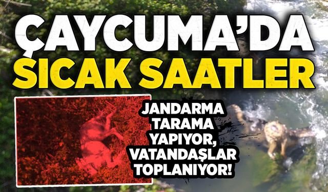 Çaycuma’da sıcak saatler: Jandarma tarama yapıyor, vatandaşlar toplanıyor!