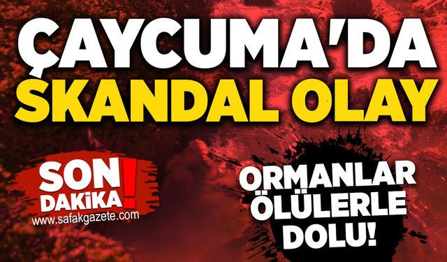Çaycuma'da skandal olay: Ormanlar ölülerle dolu!