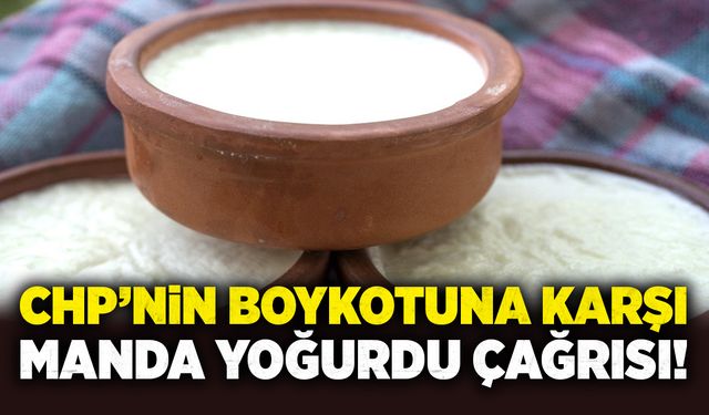 CHP’nin boykotuna karşı Manda Yoğurdu çağrısı!