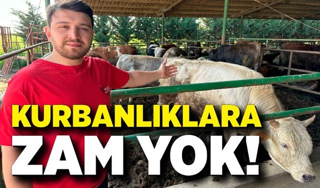 Kurbanlık fiyatlarında geçen yıla oranla büyük değişiklik yok