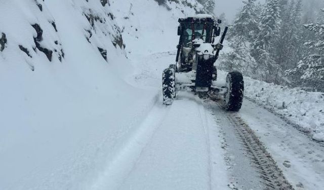Nisan ayında yağan kardan 181 köy yolu ulaşıma kapandı