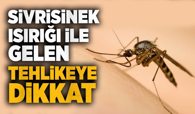 Sivrisinek ısırığı ile gelen tehlike