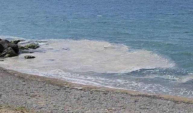 Yalova kıyılarında müsilaj görüldü