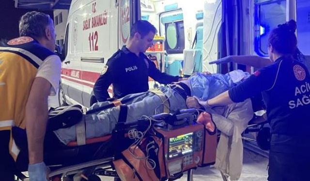 Ağaca çarpan otomobilin sürücüsü ağır yaralandı