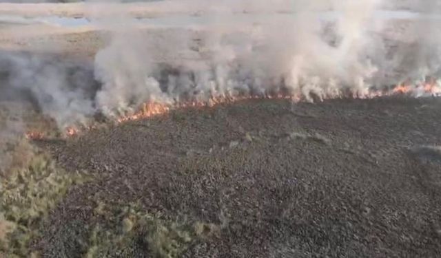 Arazide yakılan ateş yayıldı: 60 dönüm arazi zarar gördü