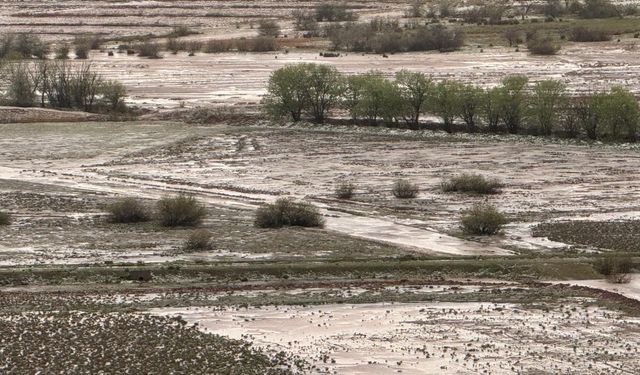 Sağanak ve dolu; 8 bin dönüm tarım alanı zarar gördü