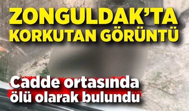 Kozlu’da korkutan görüntü: Cadde ortasında ölü olarak bulundu