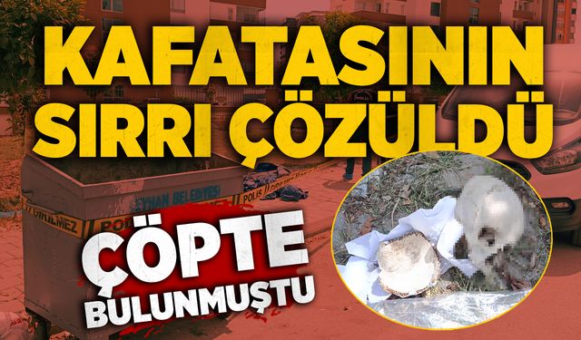 Çöpte bulunmuştu: Kafatasının sırrı çözüldü
