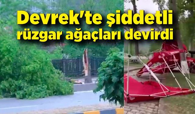 Devrek'te şiddetli rüzgar ağaçları devirdi