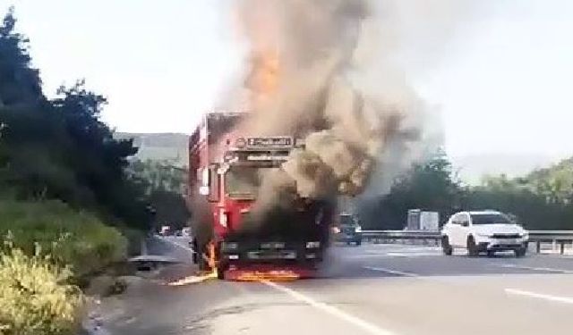 Hayvan yüklü kamyon alevlere teslim oldu