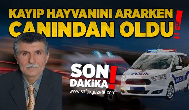 Kayıp hayvanını ararken canından oldu
