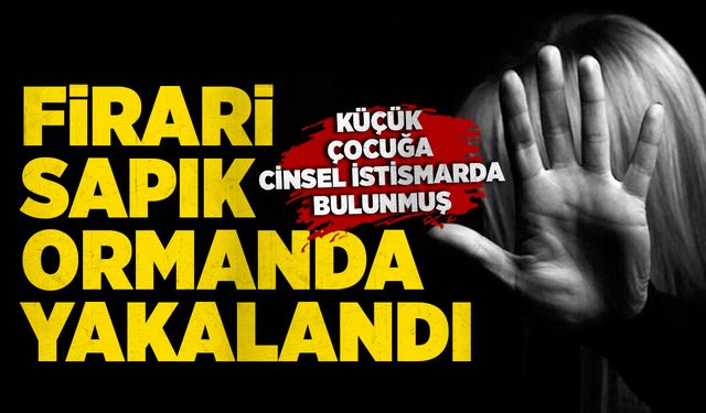 Küçük çocuğa cinsel istismarda bulunan şahıs ormanda yakalandı