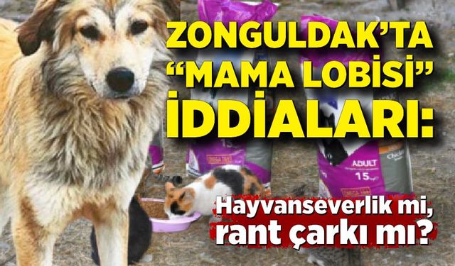 Zonguldak’ta “Mama Lobisi” iddiaları: Hayvanseverlik mi, rant çarkı mı?